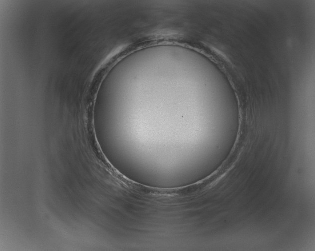 X0000081451309200701121004