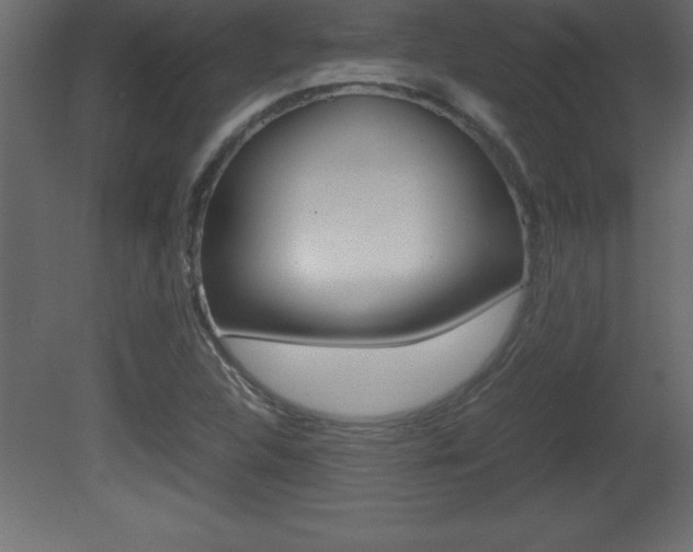 X0000081451312200701121004