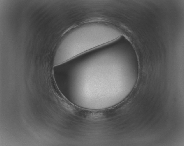 X0000081451313200701121004