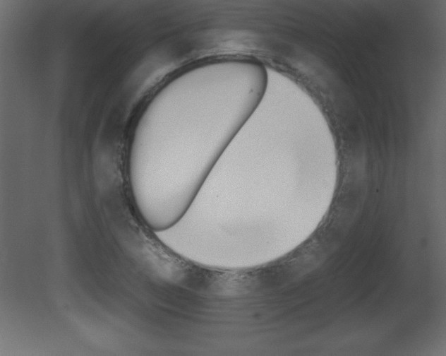 X0000081451314200701121004