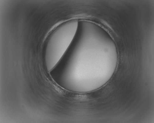 X0000081451315200701121004
