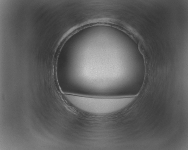 X0000081451316200701121004