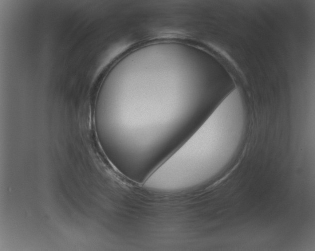 X0000081451317200701121004