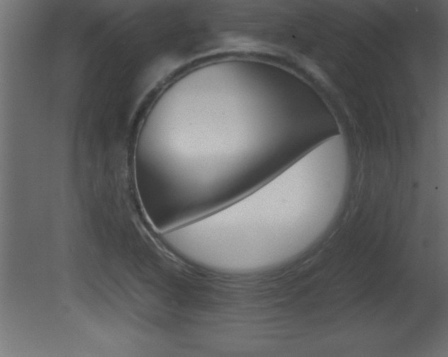 X0000081451318200701121004