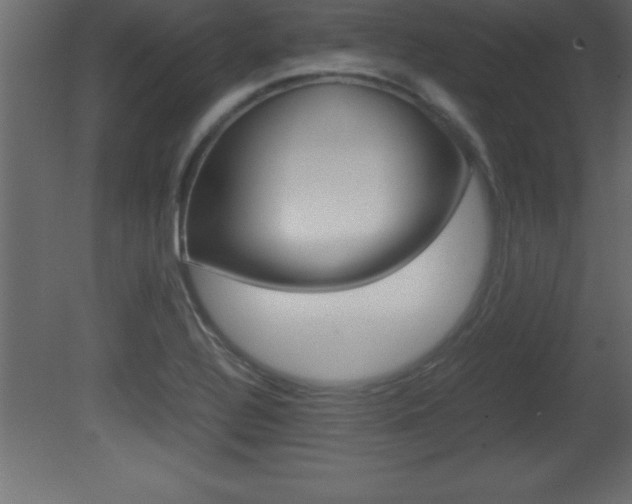 X0000081451320200701121004