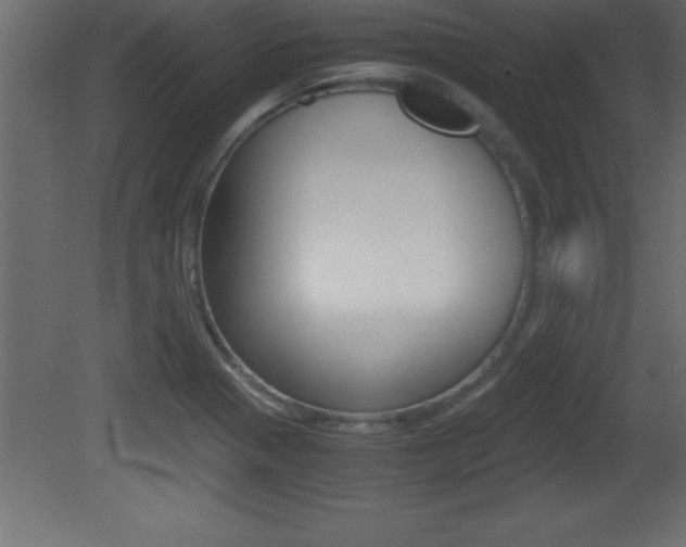 X0000081451321200701121004