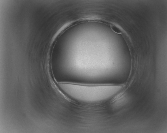 X0000081451325200701121004