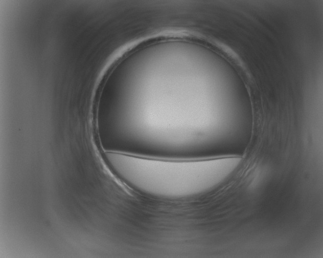 X0000081451327200701121004