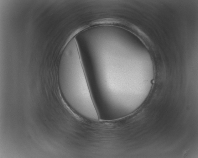 X0000081451329200701121005