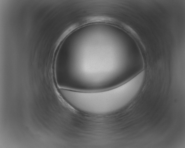 X0000081451330200701121005