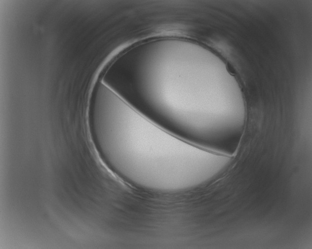 X0000081451331200701121005