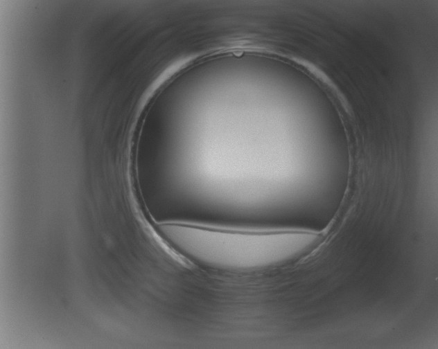 X0000081451333200701121005
