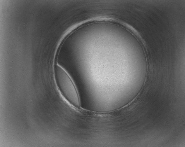 X0000081451335200701121005