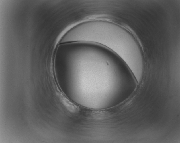 X0000081451336200701121005