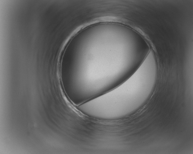X0000081451342200701121005