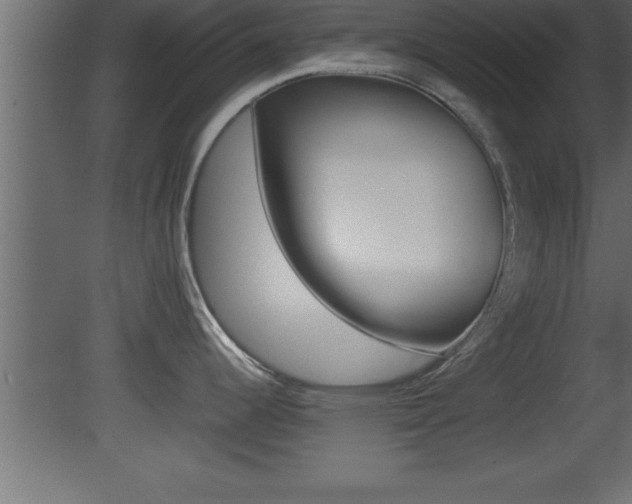 X0000081451344200701121005