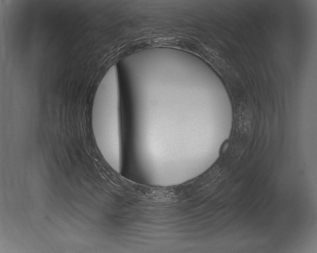 X0000081451346200701121004