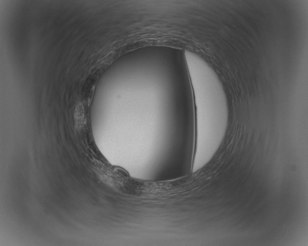 X0000081451347200701121004