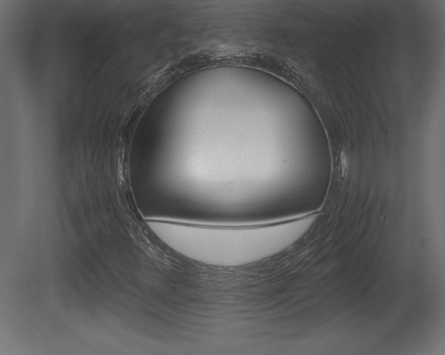 X0000081451348200701121004