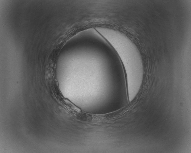 X0000081451349200701121004