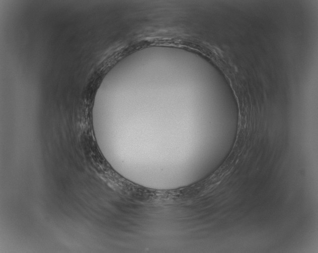 X0000081451350200701121004