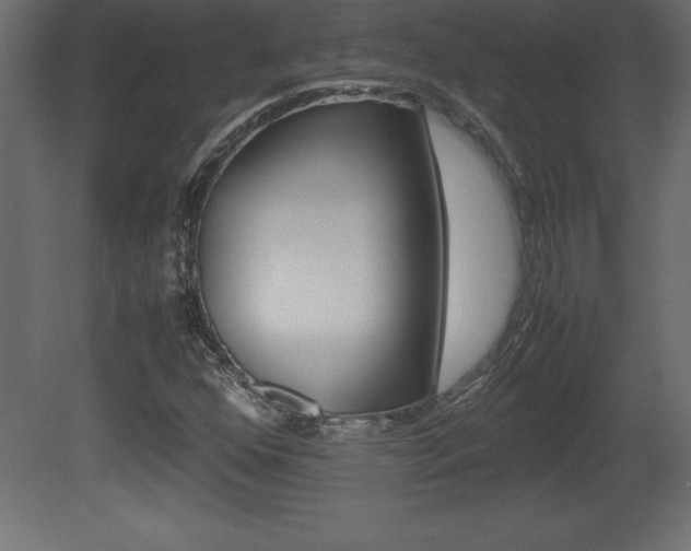 X0000081451352200701121004