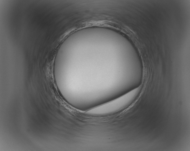 X0000081451353200701121004