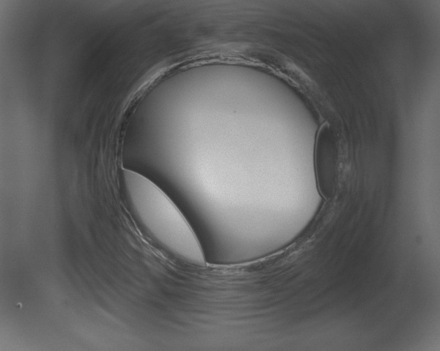 X0000081451354200701121004