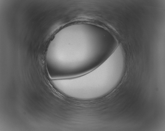 X0000081451355200701121004