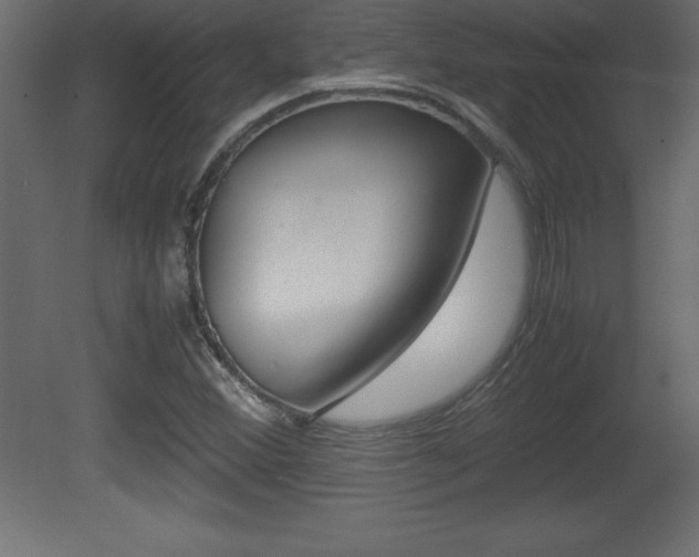 X0000081451356200701121004
