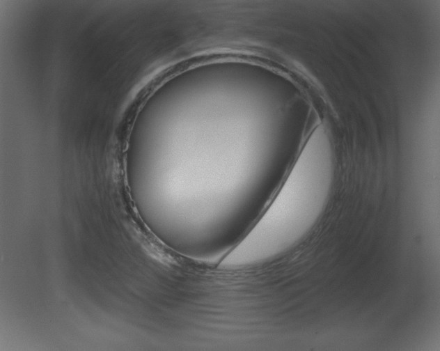 X0000081451360200701121004