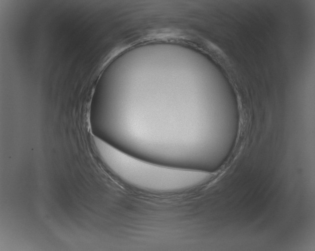 X0000081451361200701121004