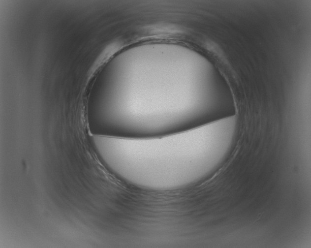 X0000081451362200701121004