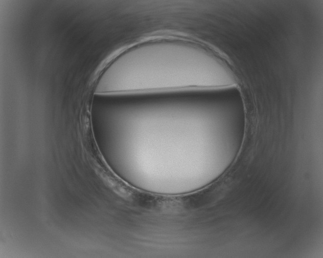 X0000081451363200701121004