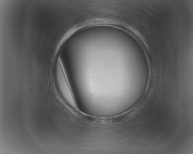 X0000081451365200701121004