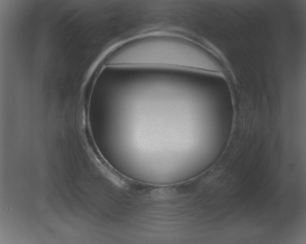 X0000081451368200701121004