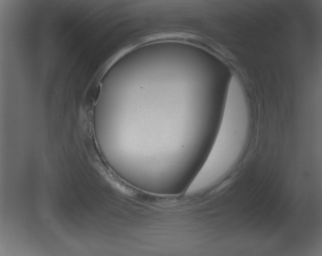 X0000081451369200701121004