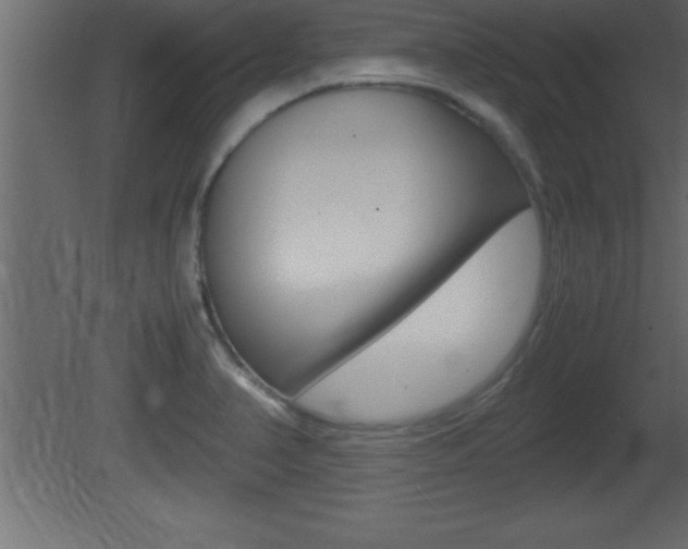 X0000081451374200701121003