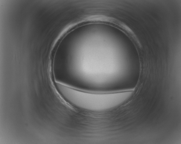 X0000081451376200701121003
