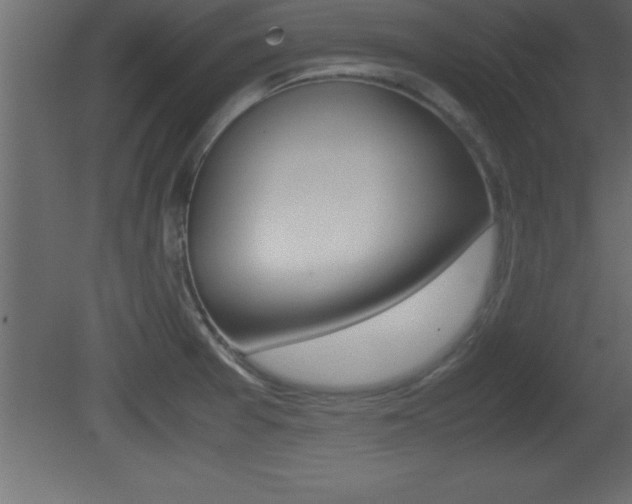 X0000081451377200701121003