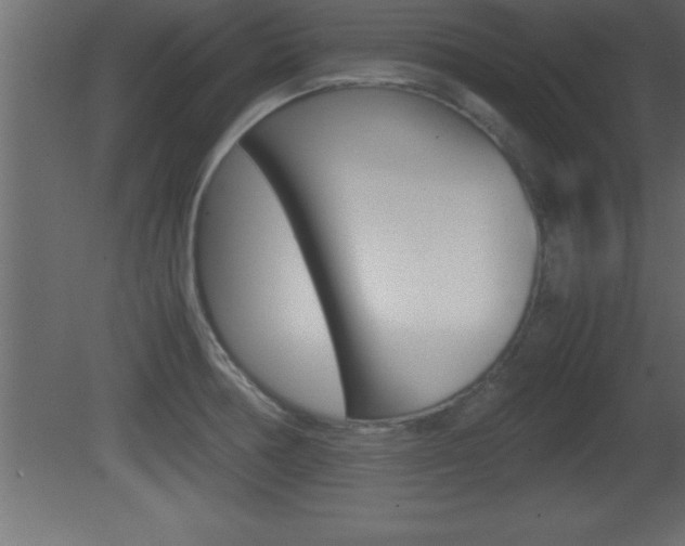 X0000081451378200701121003
