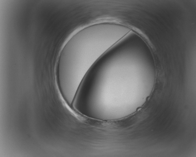 X0000081451383200701121003