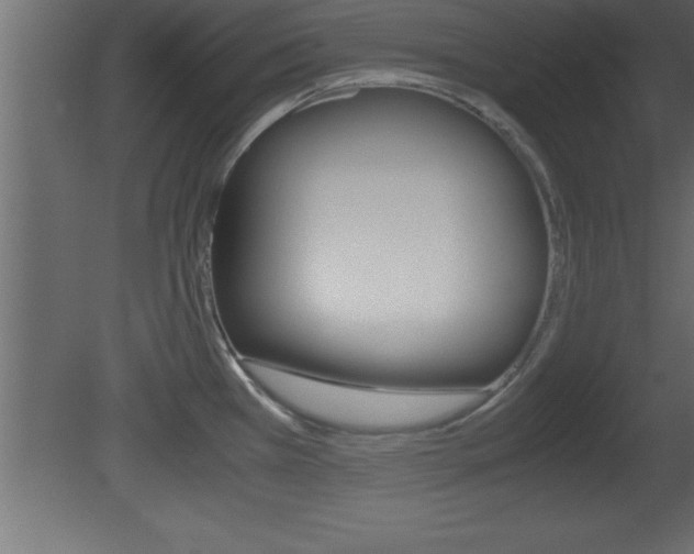 X0000081451385200701121003