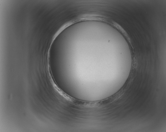 X0000081451386200701121003