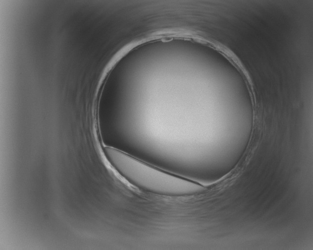 X0000081451389200701121003
