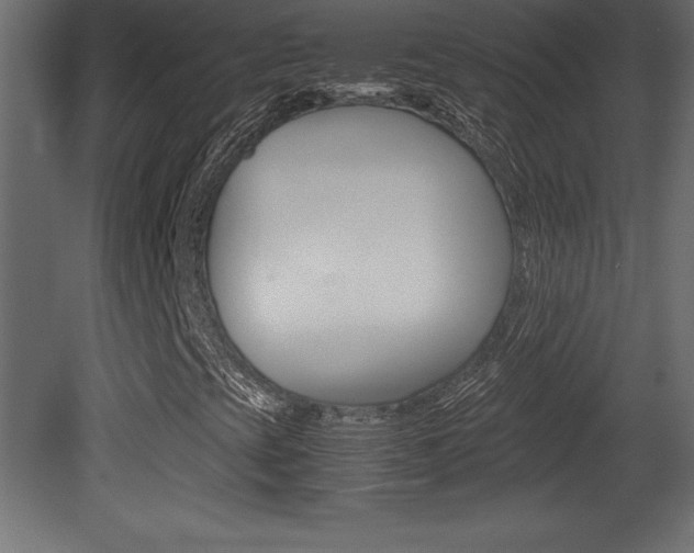 X0000081451393200701121002