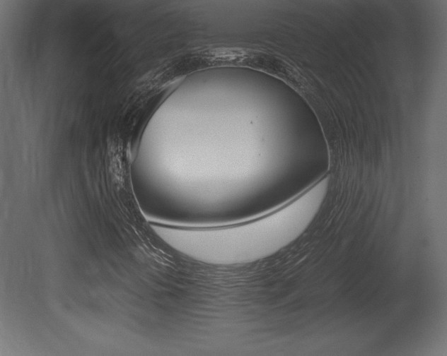 X0000081451394200701121002