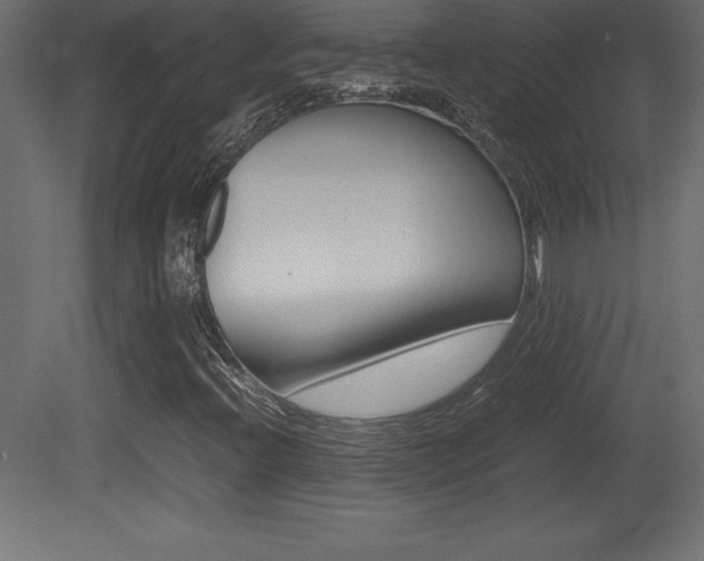 X0000081451396200701121002