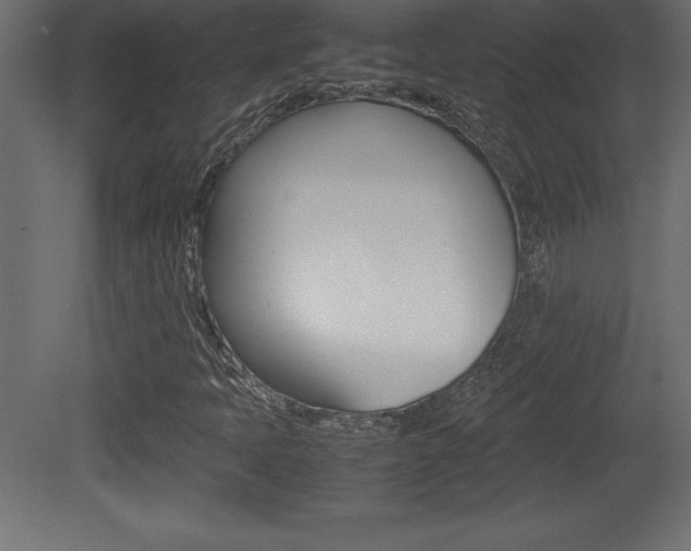 X0000081451397200701121002