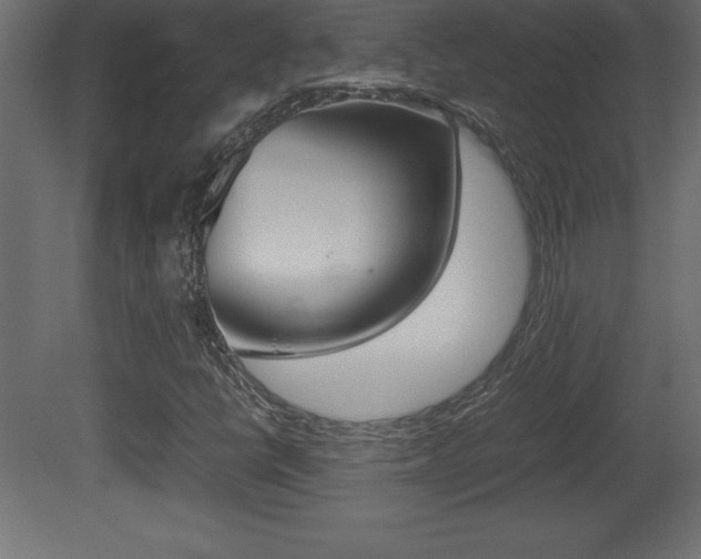 X0000081451398200701121002